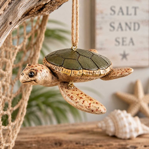 Gallery Image turtlels.jpg