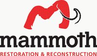 Mammoth Restoration & Reconstruction