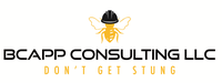 bcappconsulting llc