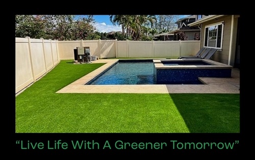 Homeowner was tired of having grass in his pool when he mowed the lawn.