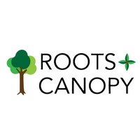 Roots and Canopy Solutions 