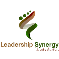 Leadership Synergy Institute