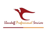 Llandaff Professional Services, Inc