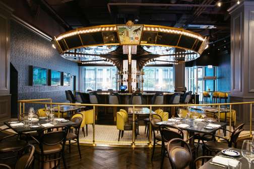 Gallery Image Francois%20Frankie.jpg