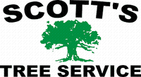 Scott's Tree Service Inc