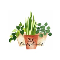 SLC Houseplants 