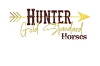 Hunter Gold Standard Horses