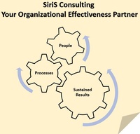 SiriS Consulting LLC