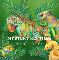 Mystery Reptiles and More