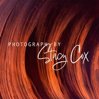 Stacy Cox Photography