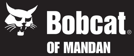 Bobcat of Mandan