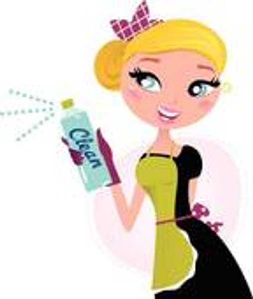 Sunshine Tangerine Professional Cleaning Services Inc. Sunshine Tangerine Professional Cleaning Services Inc.