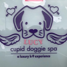 Cupid Doggie Spa Cupid Doggie Spa