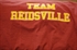 Picture of Team Reidsville Burgundy Shirts