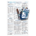 Picture of 2025 CA and Federal Employment Poster: Non-Laminated English