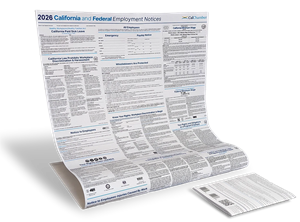 Picture of 2026 CA and Federal Employment Poster: Non-Laminated English 