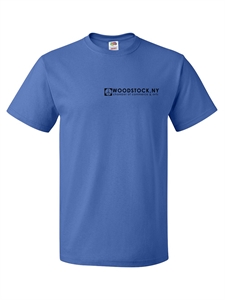 Picture of Blue T-Shirt