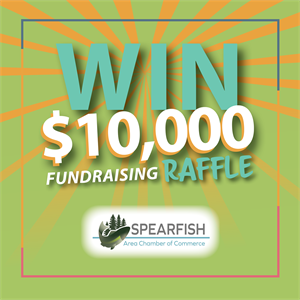Picture of Cash Raffle Ticket - 2025