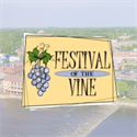 Picture of Festival of the Vine Sponsorships