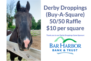 Picture of Derby Droppings (Buy-A-Square)   $10 per square