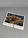 Picture of Woodstock Holiday Cards - Ariel Park in the Square with Lights