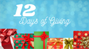 Picture of 12 Days of Giving Raffle Ticket - 1 for $20