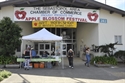 Store Apple Blossom Festival Parade Sebastopol Area Chamber Of Commerce Ca