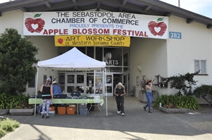 Picture of Apple Blossom Festival Sponsorship Opportunities - 4510
