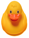 Picture of Rubber Duck Race - Duck Adoption