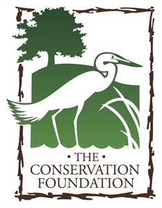 Picture of The Conservation Foundation 