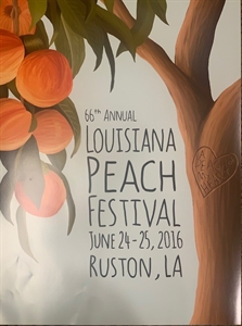 Picture of 2016 Poster, 66th Annual