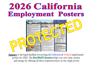 Picture of 2026 Poster Protection (laminate)