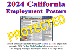 Picture of 2024 Poster Protection (laminate)