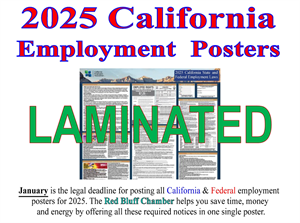 Picture of 2025 Employment Posters Laminated