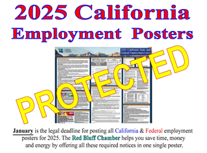 Picture of 2025 Poster Protection (laminate)